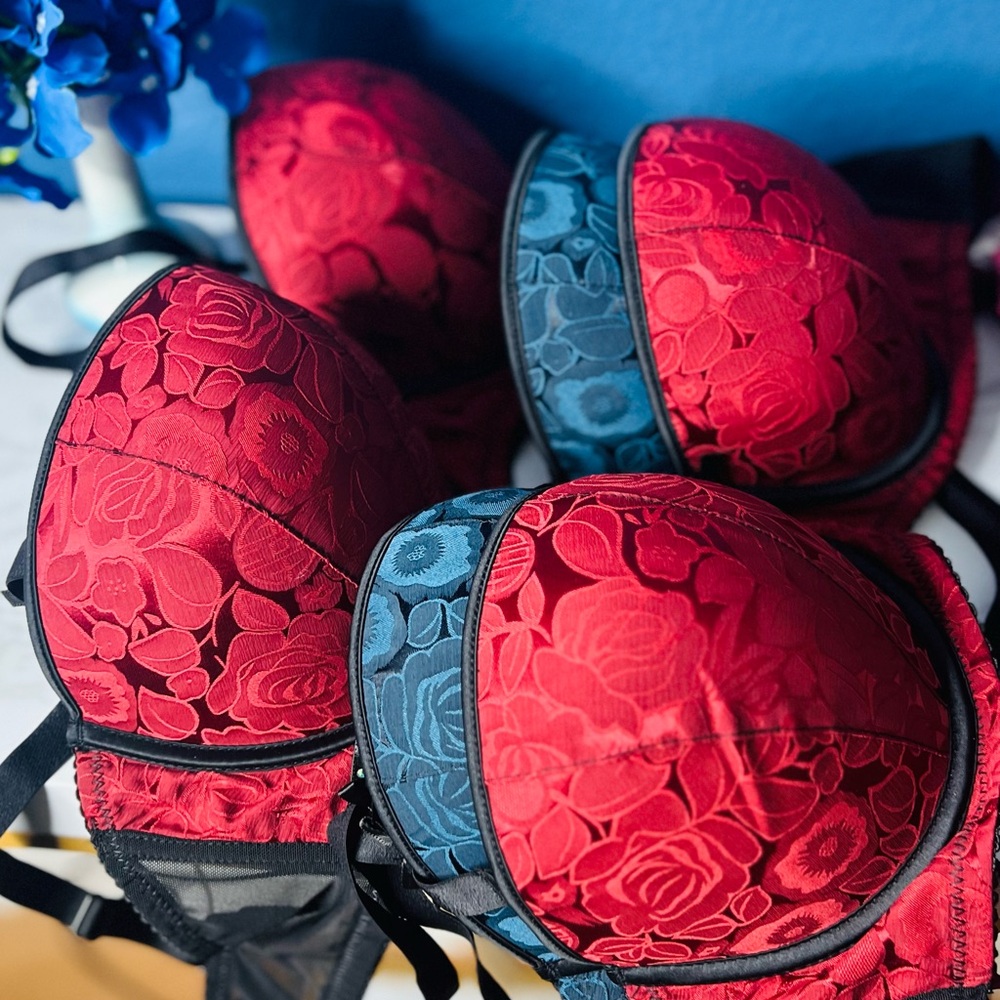 Red and Blue Floral Lace Bras